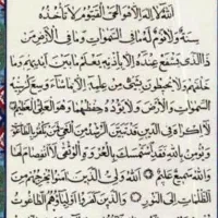 مدارک من گم شده