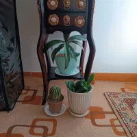 پایه چوبی درحد