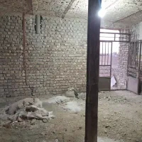 آپارتمان طبقه۱و ۲|فروش آپارتمان|زابل, |دیوار