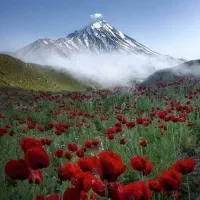 طبیعت گردی