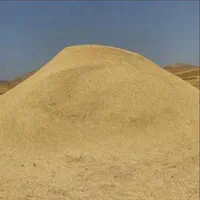 کاه گندم تازه و ریز