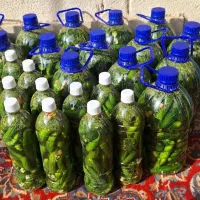 محصولات خانگی شامان