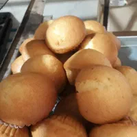 ۱ نفر همکار