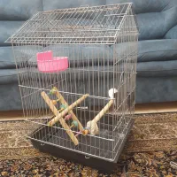 قفس برای طوطی و مینا
