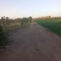 اجاره-دامداری-سوله