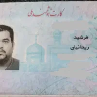 پیداشده