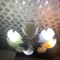 لوستر هشت شاخه