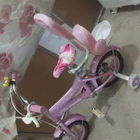 دوچرخه ۱۲|دوچرخه، اسکیت، اسکوتر|شیراز, عادل آباد|دیوار