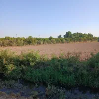 زمین برق دار