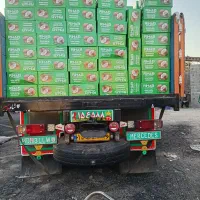 زغال حبه فقط۳۵۰|عمدهفروشی|تهران, بلورسازی|دیوار