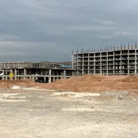 آغاز مالکیت با سرمایه کم/پرند خاکش طلاست