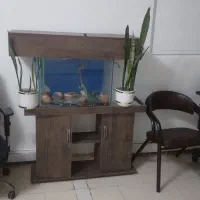 آکواریوم با پایه ام دی اف کاملا سالم