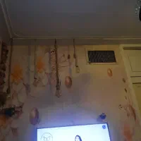 همخانه