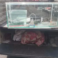 آکواریم باهمه وسایلاش سالم به فروش میرسد