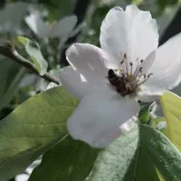 104متر-زمین-آماده-برای-ساخت