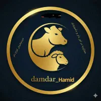 خریدوفروش انواع دام زنده