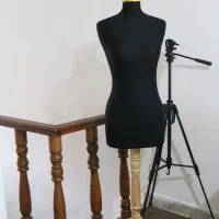 مانکن اتوخور، سوزن خور