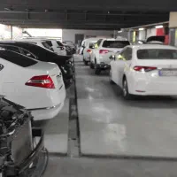 صافکار و نقاش