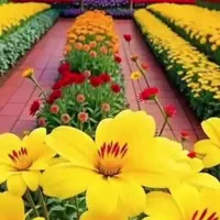 فروش 2 تالار و باغ پذیرایی