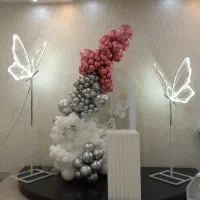 تم تولدی بادکنک ارایی کرایه چی علوی