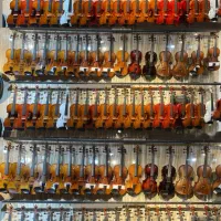 نمایندگی ویولن تی اف آماتی رناتو