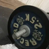 هالتر