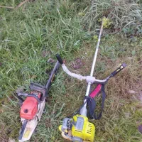 انواع کارهای باغبانی هرس درختان برش درخت|خدمات باغبانی و درختکاری|رشت, پل تالشان|دیوار