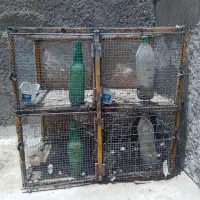 جفتگاه کفتر