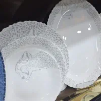 آرکوپال مقصود دینو|ظروف سرو و پذیرایی|پاکدشت, پاکدشت (مامازند)|دیوار