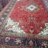 ۳جفت کرمان قلم ۶تا ۶متری