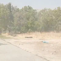 زمین ساختمانی