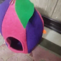 قفس لانه بزرگ پرنده و تعدادی وسایل دوربین