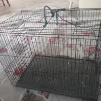 قفس پرنده|لوازم جانبی حیوانات|فردیس, شهرک شهید حسینی|دیوار