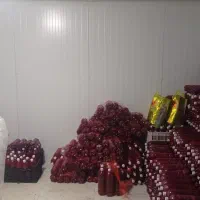 سردخانه اجاره