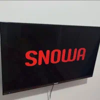 تلوزیون اسنوا