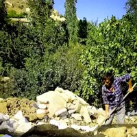 قابل توجه مشهدی ها و تهرانی های عزیز|فروش زمین و ملک کلنگی|تهران, شهران شمالی|دیوار