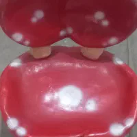 دکور و تجهیزات آتلیه