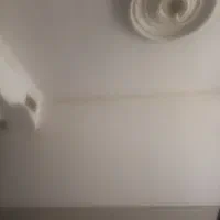 نقاشی رنگ کاری نقاشی ساختمان|خدمات پیشه و مهارت|نیشابور, شهید جعفری|دیوار