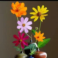 باغ.باغچه.گل و گلدون در منزل و محل کار