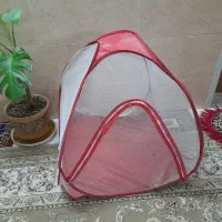 سرویس کالسکه وکریر و روروئک|کالسکه و لوازم جانبی|یزد, |دیوار