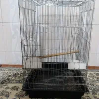 قفس طوطی، عروس ، سهره، قناری، لونه عروس