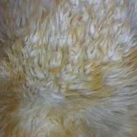 خزه صندلی ماشین نو|قطعات یدکی و لوازم جانبی|ایرانشهر, |دیوار