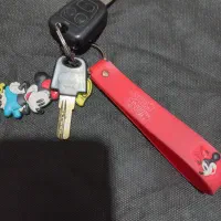 سیوچ  ماشین پیداشده