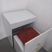 رگال و میزخیاطی