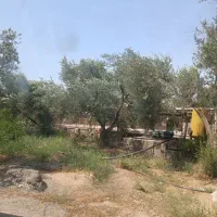 استخدام باغبان و سرایدار در شهرستان طارم