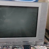 تلوزیون