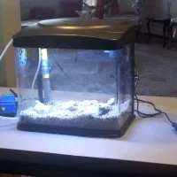 آکواریوم شرکتی شیشه خم