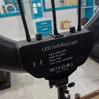 رینگ لایت ۲۱|لامپ و چراغ|بروجرد, |دیوار