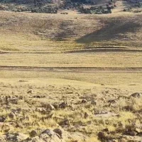 زمین تجاری شهرک صنوف،قاضی،گاراژی،۶۰ متر