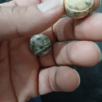 سنگ آسیاب خیلی قدیمی|کلکسیون اشیاء عتیقه|اهواز, کوی طلاب|دیوار